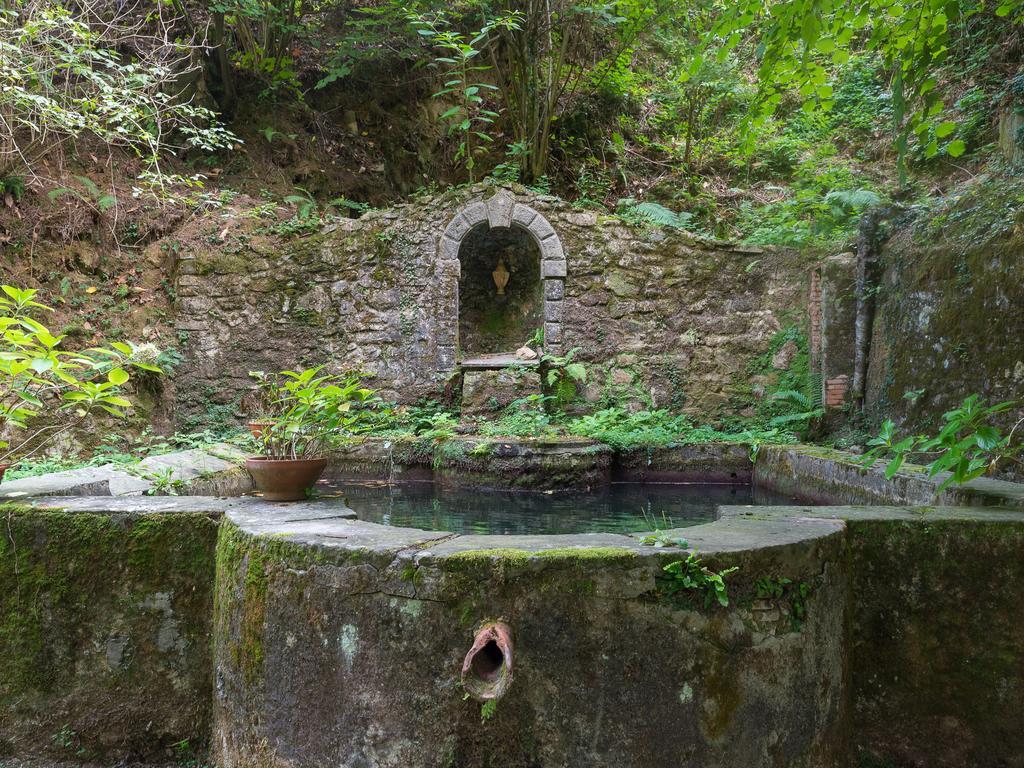 Agriturismo Le Fontanacce Pescia Dış mekan fotoğraf